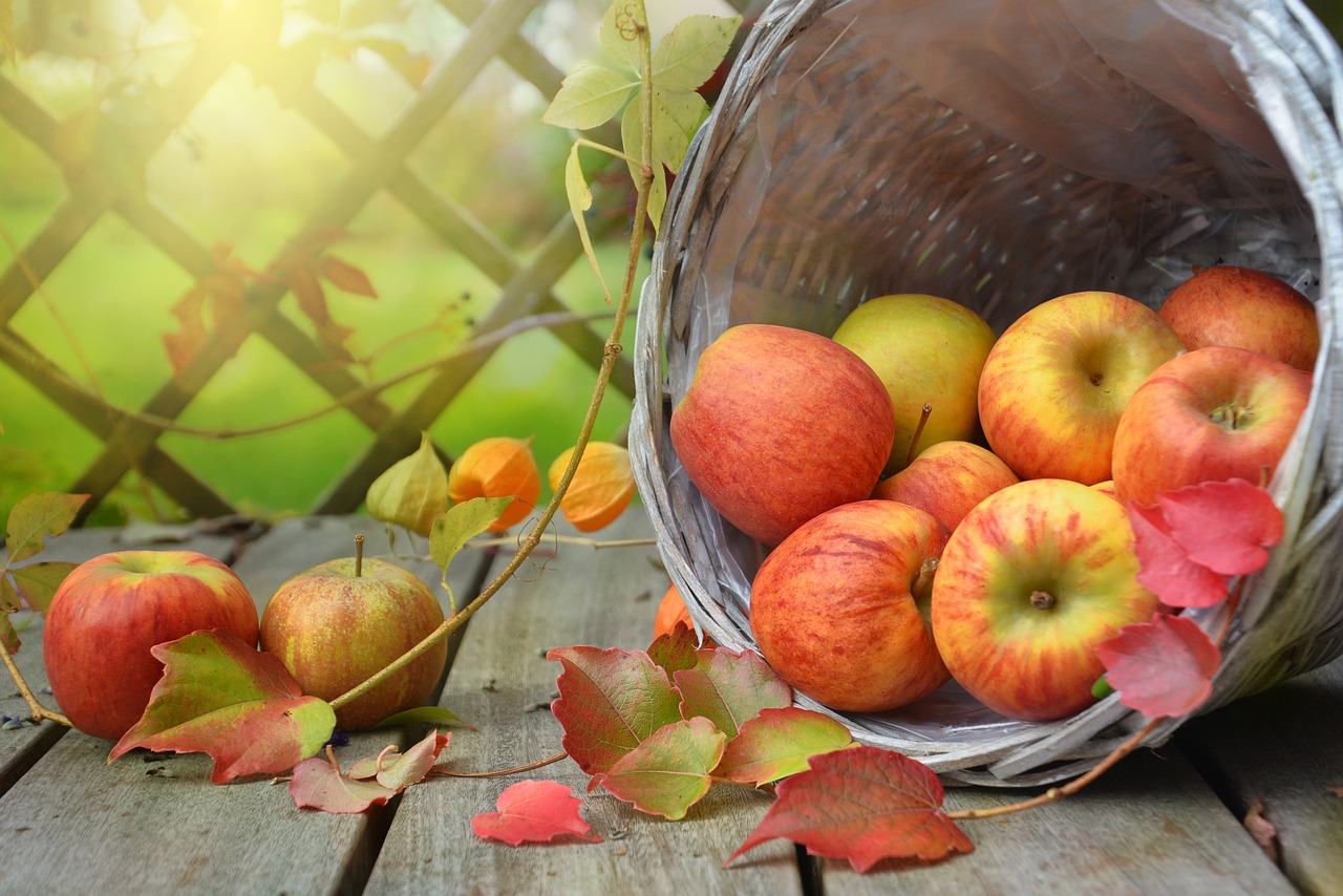 apples-1776744_1280